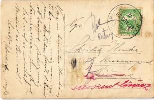 1912 Sárszentlőrinc, lovashintó. photo  (fl)