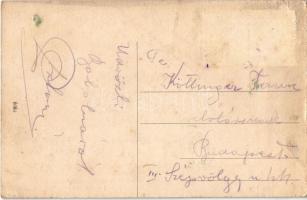 Bábolna, legelő anyakancák (EK)