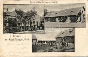 1907 Dunakeszi-Alag, Lóversenytér, Tréner lakház és verseny istállók. Hadl Fülöp kiadása