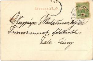 1903 Zalaegerszeg (?), négyfioatú lovashintó kúria előtt (EK)