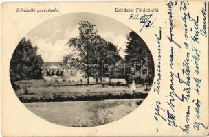 1911 Földeák, Ó-földeáki park és kastély (fa)