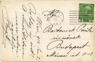 1914 Aufnahme von Zeppelin-Luftschiff in Wien, Blick auf die Heilanstalt Steinhof / Zeppelin airship...