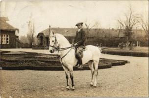 1912 Nagybecskerek, Zrenjanin, Veliki Beckerek; lovas a parkban / horse rider in the park. photo