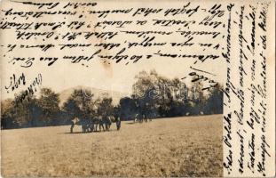 1906 Zsibó, Jibou; ménes, lovak legelés közben / horses grazing. photo