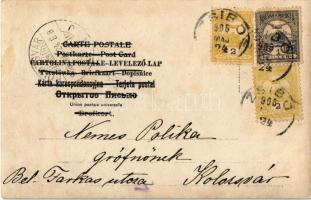 1906 Zsibó, Jibou; ménes, lovak legelés közben / horses grazing. photo