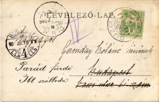 1902 Buziás, Sztamorai puszta, lovashintó hölgyekkel / horse chariot with ladies. photo  (EK)