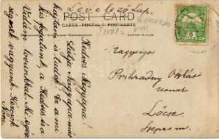 1910 Baracháza, Barateaz, Calugarus, Baraczháza; kislányok lovaskocsin a kastély udvarán / girls in ...