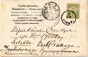 1905 Zabola, Zabala; Gróf Mikes kastély udvara, hölgyek lovaskocsin, komornyikok / castle's cou...