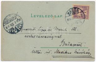 1901 Kassa, Kosice; Üdvözlet a falkavadászatról este. László Béla kiadása / coursing hunters on hors...