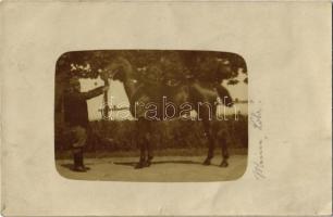 1913 Losonc, Lucenec; katona lóval / soldiers with horse. K.u.K. military, photo