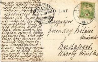 1906 Ószőny, Szőny (Komárom, Komárno); lovashintó. photo