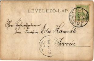 1902 Eperjes, Presov; lovaskatona a téren, kerekes kút / cavalryman on the square, well. photo  (fa)