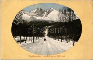 Tátralomnic, Tatranská Lomnica (Magas Tátra, Vysoké Tatry);  Lomniczi csúcs, szánkózó, tél. Feitzinger Ede No. 12W. / Lomnicky stít / winter sport, sledding