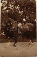 1907 Újkécske (Tiszakécske), lovas. photo