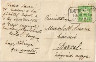 1914 Nagykökényes, lovaskocsi baleset, elgurult kerék, hölgy. photo