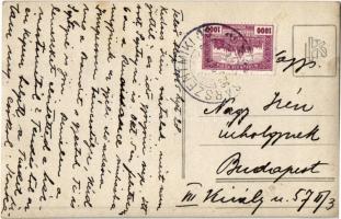 1925 Alap, Felső-Alap puszta, lovashintó a kastély előtt. photo