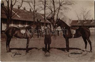 1910 Szeged, katona Ulánus és Bébé lovakkal / K.u.K. Hungarian soldier with horses. photo (EK)