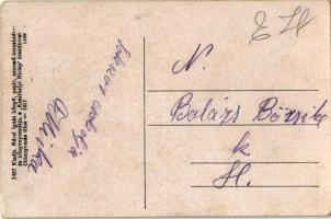 Szigliget, vár, libapásztorok. Kiadja Mérei Ignác 3457