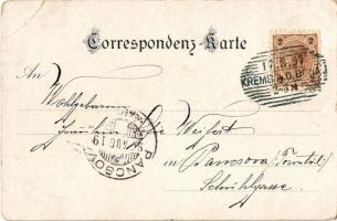 1897 Mautern an der Donau, Stadt-Wappen, Nikolai Kirchlein, Rathhaus, Neue Brücke / coat of arms, ch...