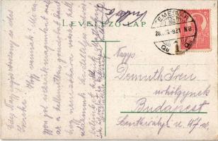 1921 Temesvár, Timisoara; Belváros, Losonczy tér, Gazda Udvar, Délvidéki Földművelők Gazdasági Egyes...