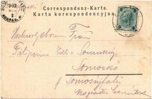 1903 Truskavets, Truskawiec; Maryowka, Willa Marya Helena, Willa Saryusz / villas. Art Nouveau, flor...