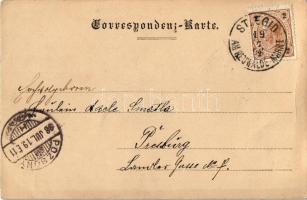 1898 Sankt Aegyd am Neuwalde, St. Egydy; vom Osterkogel aus, Franz Fromwalt's Handlung / shop. ...