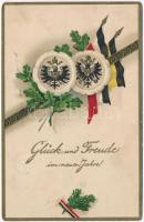 1916 Glück und Freude in neuen Jahre! / WWI German and Austro-Hungarian K.u.K. military, New Year greeting, flags, Viribus Unitis propaganda. H.W.B. K. 586. Emb. litho + Militärpflege Allg. Krankenhaus Znaim (EK)