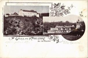 Katzelsdorf bei Wiener Neustadt, Schloss Eispiegel, Villa Quirini / castle and villa. Art Nouveau, floral (creases)