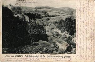 1910 Wildberg, Schloss / castle (EK)