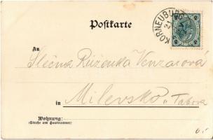 1902 Korneuburg, Rathaus / town hall, market. Chromo-Lichtdruck C. Ledermann jr