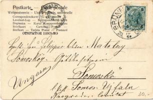 1902 Fröhliches Neujahr! / New Year greeting, dancing pigs