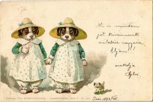 1899 Dog twins. Theo. Stroefers Kunstverlag Aquarell-Postkarte Serie V. No. 5266. litho