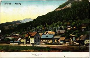 1906 Jesenice, Assling; general view, construction (EK)