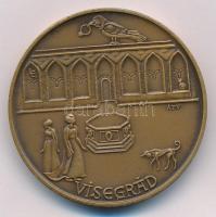 Ligeti Erika (1934-2004) 1973. "MÉE 4. Vándorgyűlése - Esztergom / Visegrád" Br emlékérem ...