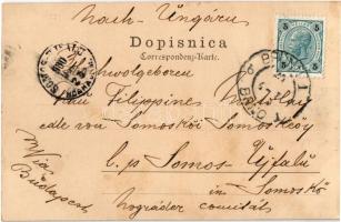 1900 Bzenec, Bisenz; Zámek, 900 let stará lípa / castle, 900 years old lime tree