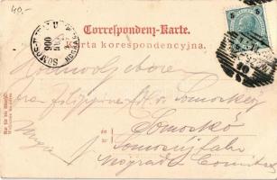 1900 Rzeszów, Resche; Pomnik Mickiewicza / monument