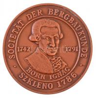 1986. "Országos Magyar Bányászati és Kohászati Egyesület - Közgyűlés Miskolc 1986 / Societät der Bergbaukunde Szkleno 1786 - Born Ignác 1742-1791" kétoldalas Br emlékérem (60mm) T:1