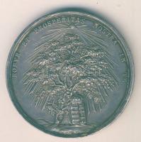 1830. "Coronatus Posonii-Ferenc és V.Ferdinánd" nagyalakú Ag 43,8g emlékérem T:1/2-