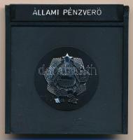 1982. "Naptár / Forint emlékkiadások" sárgaréz bélyegérem eredeti ÁPV tokban (22x37mm) T:P...