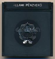 1982. "Naptár / Forint emlékkiadások" sárgaréz bélyegérem eredeti ÁPV tokban (22x37mm) T:P...