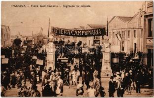 Padova, Padua; Fiera Campionaria, Ingresso principale / Trade Fair, main entry to the market
