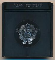 1981. "Naptár / Űrrepülés" sárgaréz bélyegérem ÁPV műanyag tokban (22x37mm) T:1 (PP)