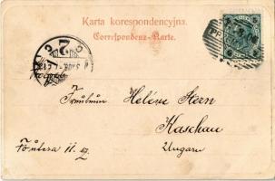 1903 Przemysl, Ogólny widok rynku / square, market  (EK)