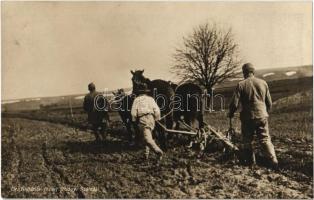 Szántás. Dr. Kollarits József főhadnagy. Hadifénykép Kiállítás / WWI Austro-Hungarian K.u.K. military, soldiers help with the ploughing
