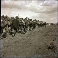 cca 1940-1945 Orosz területeken készült fotók negatívjai, 9 db, 6×9 cm