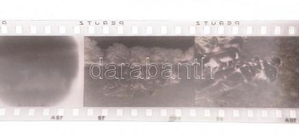 II. világháborús katonai kisfilm negatívok, kb. 30 kocka