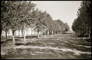 Makói országzászló és makói városképek, 13 db filmkocka