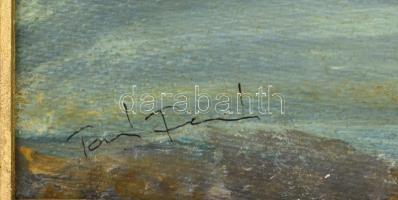 Olvashatatlan jelzéssel: Vízparti táj, olaj, farost, fa keretben. 36,5x53 cm