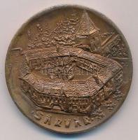 Peternák Gusztáv (1928-2003) 1983. "Keszthelyi Éremgyűjtő Csoport / Sárvár" Br emlékérem T...