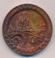 Peternák Gusztáv (1928-2003) 1984. "Keszthelyi Éremgyűjtő Csoport / Kereki vár" Br emlékér...